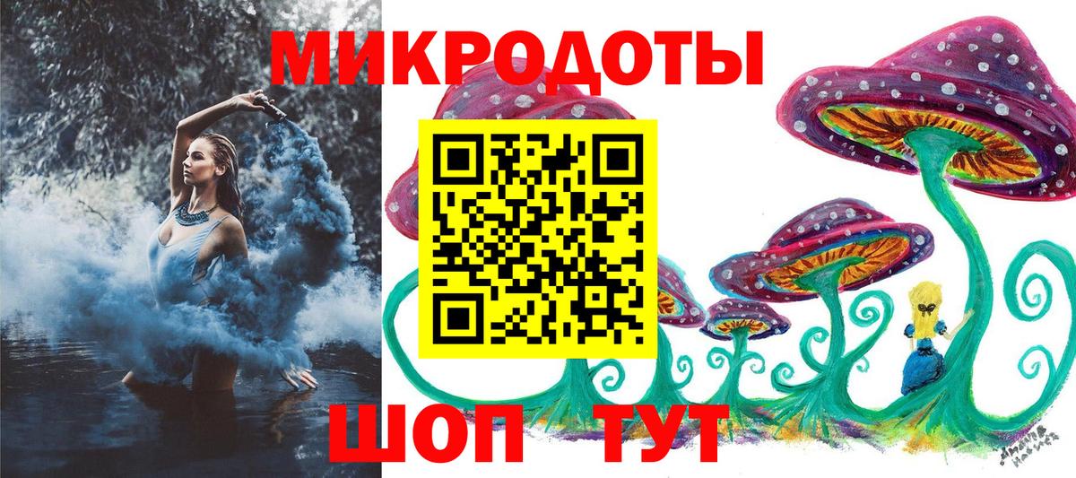 Майкоп  Псилоцибиновые грибы Psilocybine cubensis  Вход с VPN 